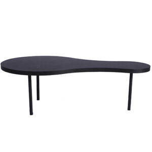 MESA DE CENTRO AMEBA