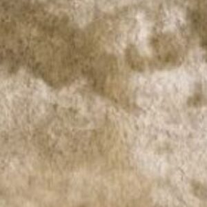 TAPETE FENDI COM SEDA